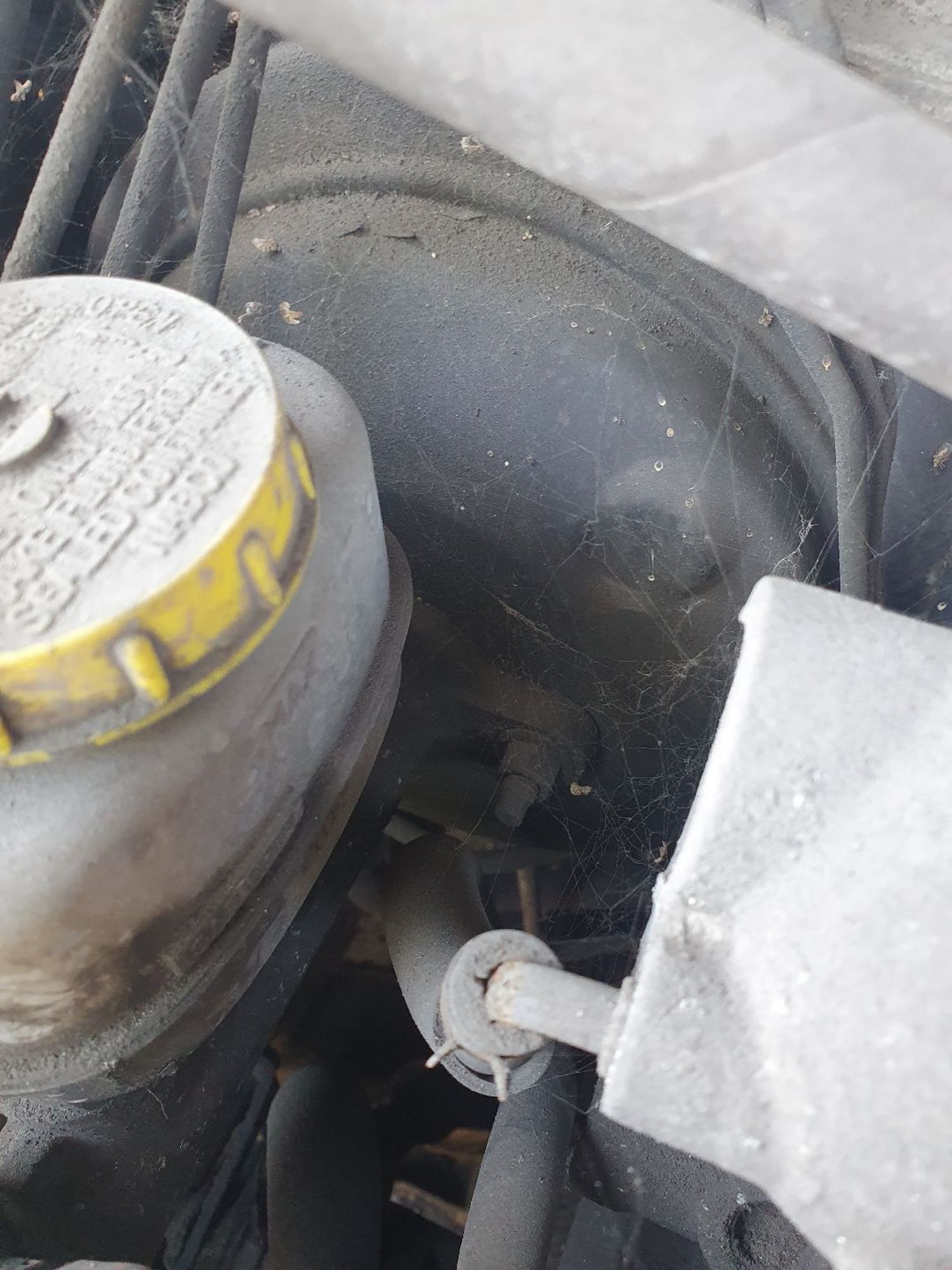 https://ycs.partsauto.market/partsauto-images/thmbs/userImages/7ed63c96fe685f431889ec34ef8f13b8/part/508e6a52-bc15-4f3a-8de0-96c035f4c9a5_1779864595142.jpg