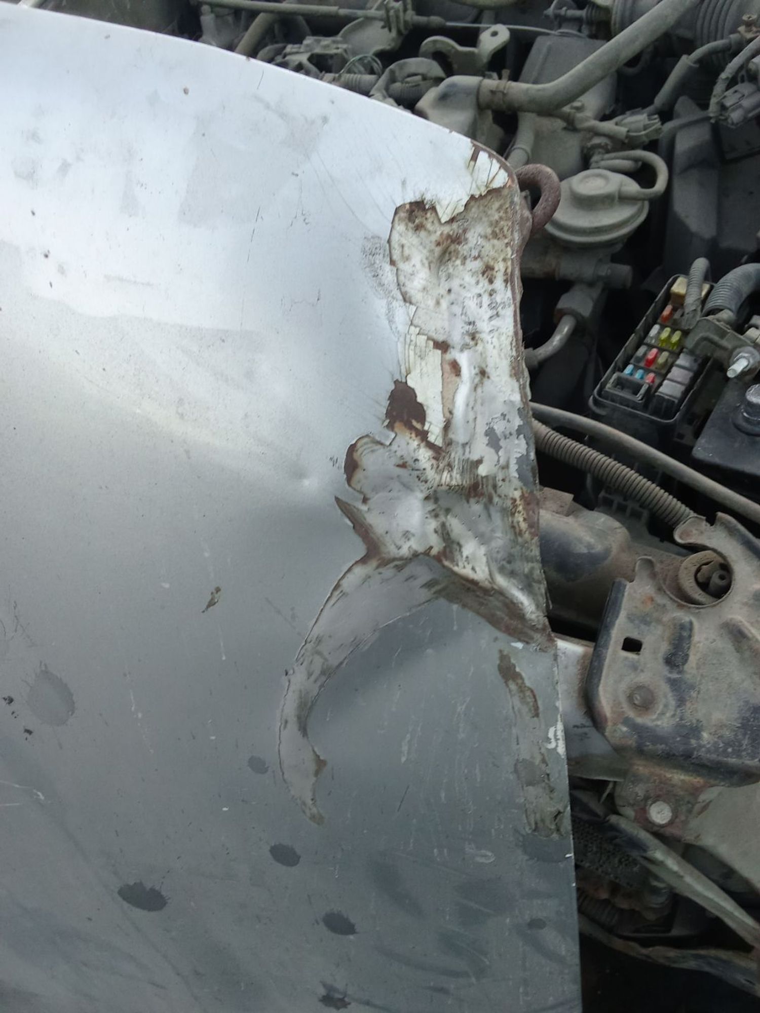 https://ycs.partsauto.market/partsauto-images/thmbs/userImages/7ed63c96fe685f431889ec34ef8f13b8/part/6094426a-dd60-4962-9fa2-977710bffe5c_1780720064174.jpg