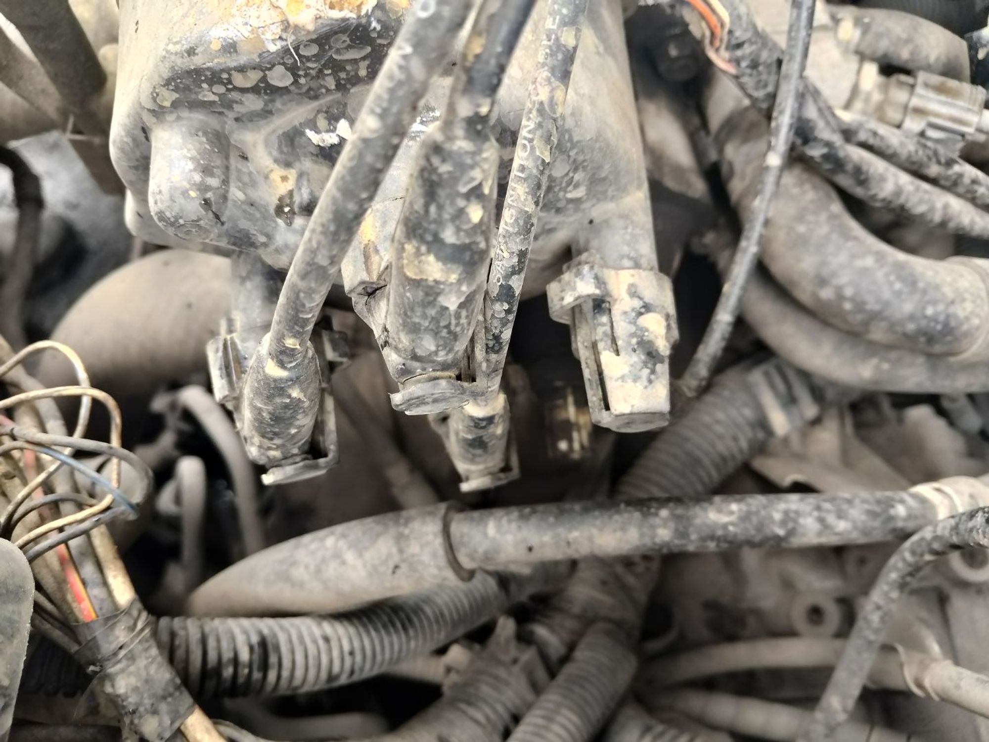 https://ycs.partsauto.market/partsauto-images/thmbs/userImages/7ed63c96fe685f431889ec34ef8f13b8/part/61509a4a-cf9d-4327-b6db-37868597b8ec_1785225565758.jpg