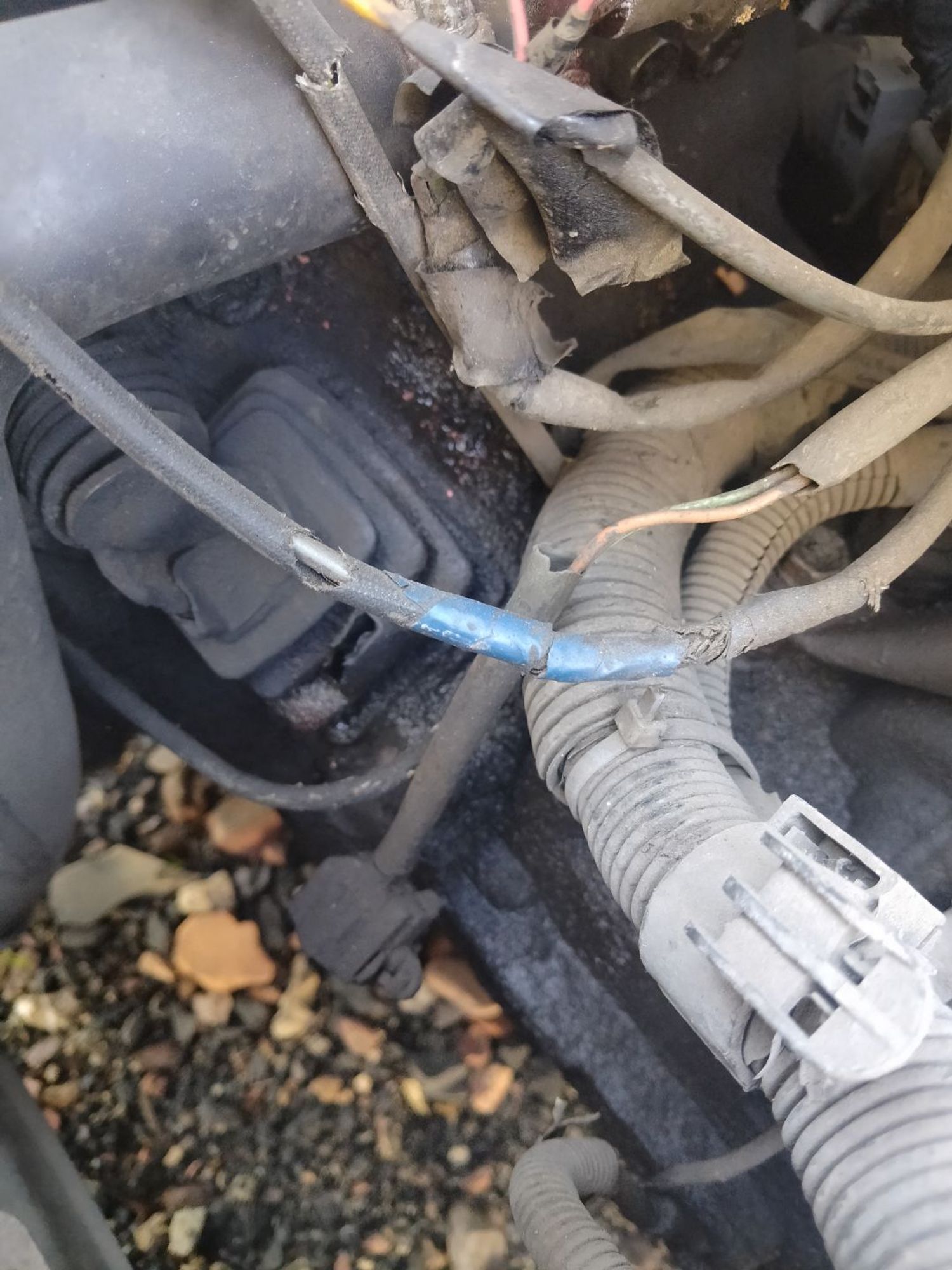 https://ycs.partsauto.market/partsauto-images/thmbs/userImages/7ed63c96fe685f431889ec34ef8f13b8/part/6b06ee99-7fd4-48cd-b388-0a94f4ddb93e_1784178856403.jpg