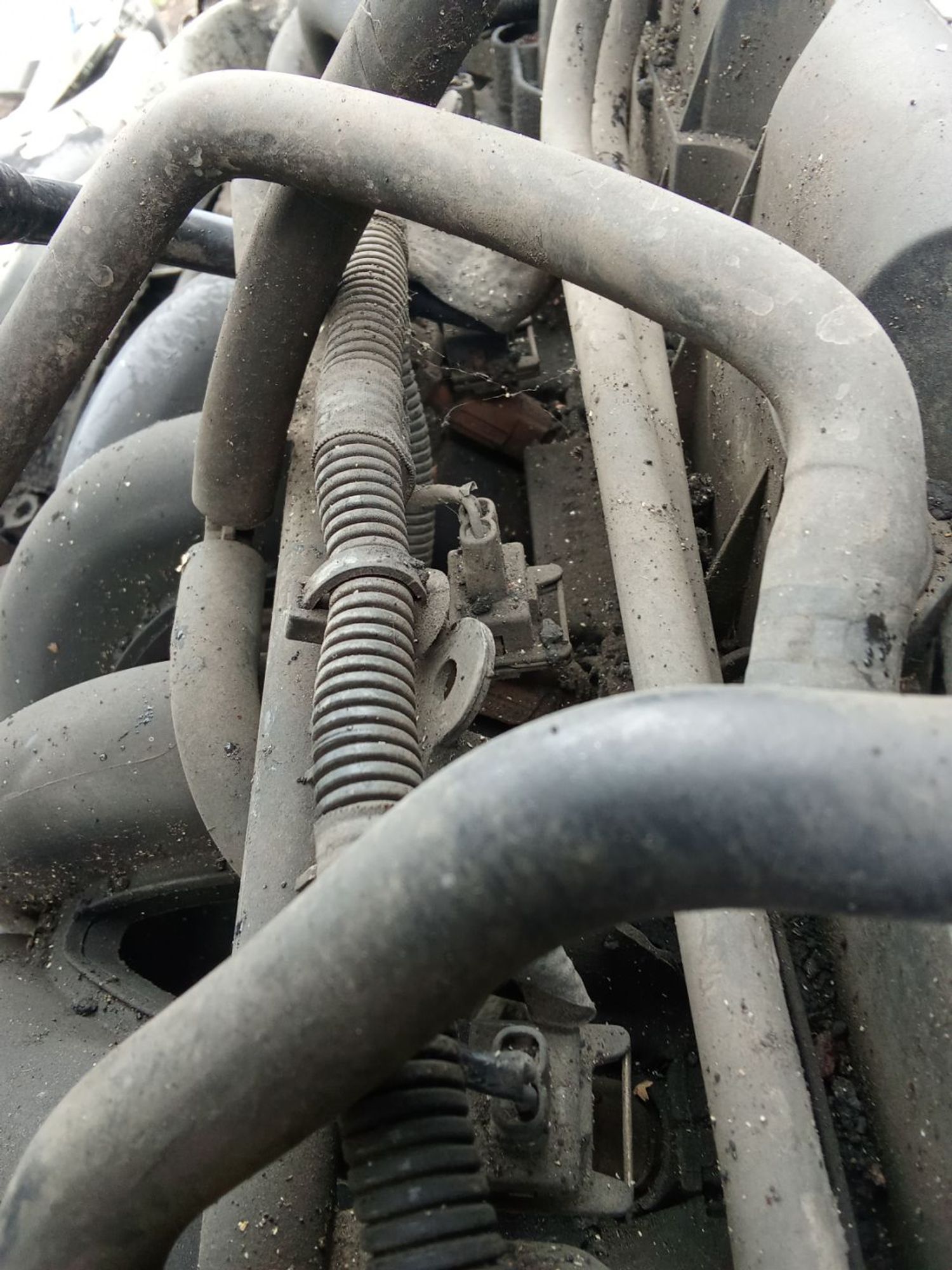 https://ycs.partsauto.market/partsauto-images/thmbs/userImages/7ed63c96fe685f431889ec34ef8f13b8/part/b79f8edd-6a3b-4b2c-8545-16876bd63877_1781497737349.jpg