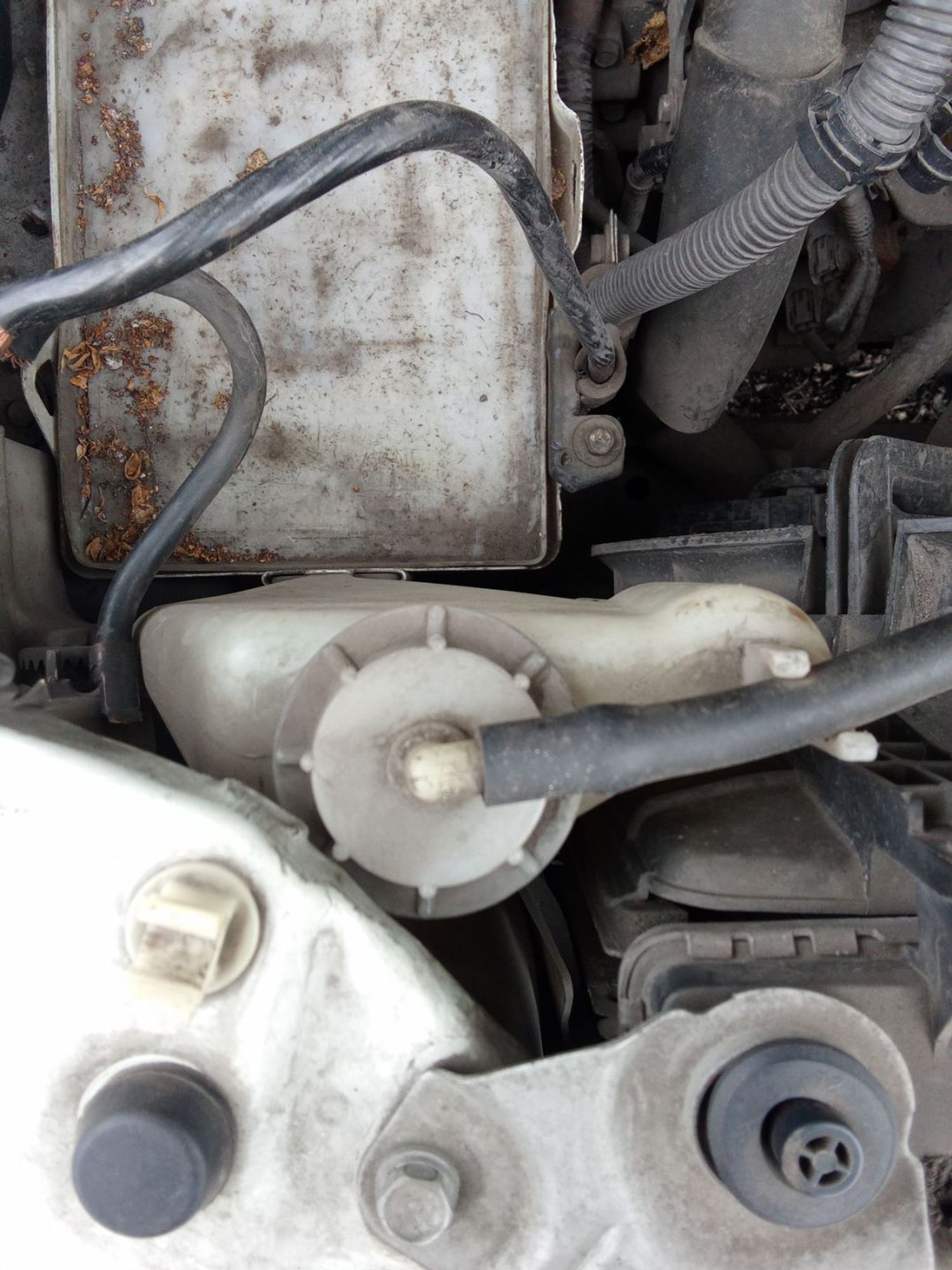 https://ycs.partsauto.market/partsauto-images/thmbs/userImages/7ed63c96fe685f431889ec34ef8f13b8/part/caddc5a6-4ad0-4449-a796-1f92d9254990_1777964728348.jpg