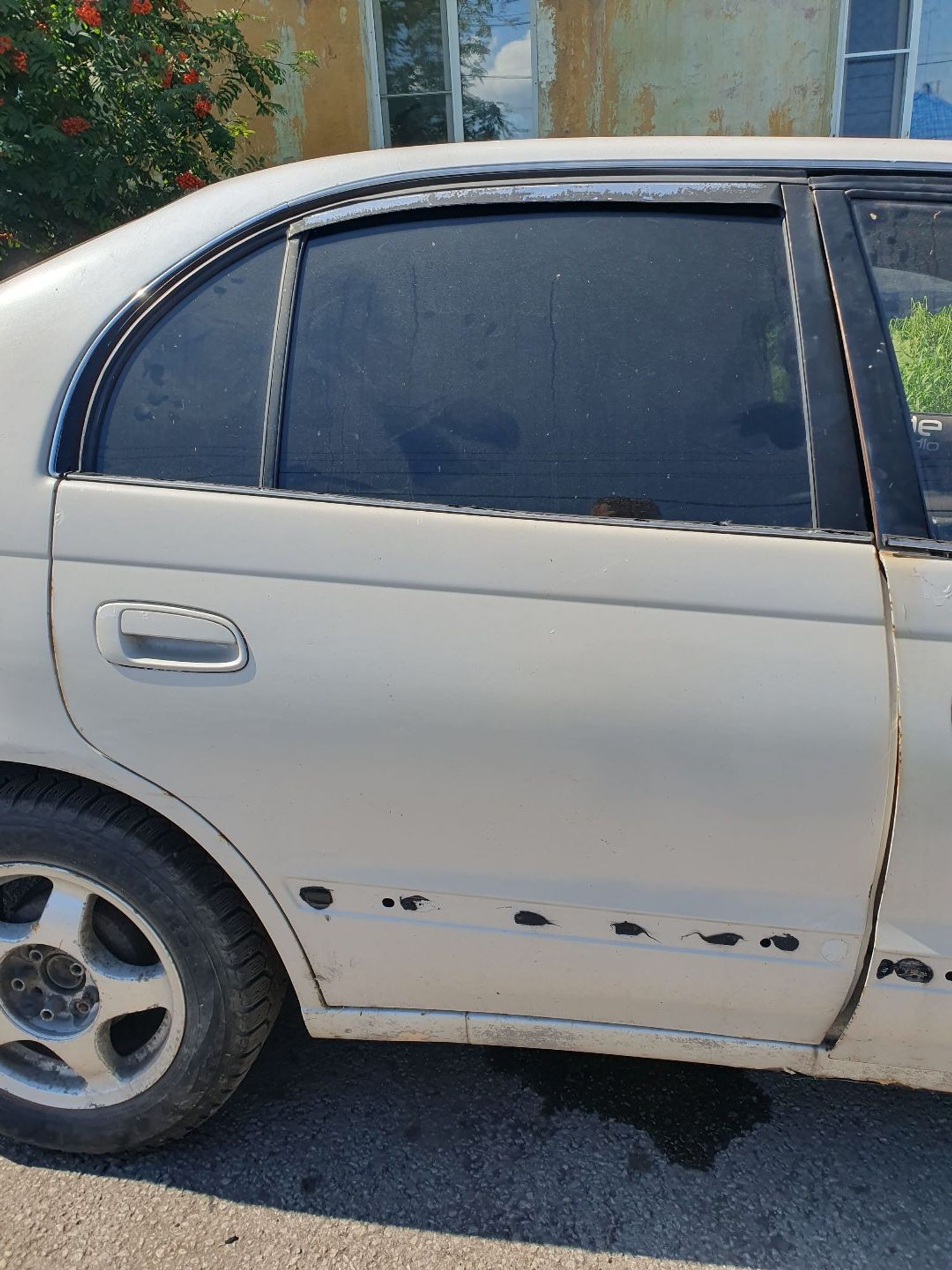 https://ycs.partsauto.market/partsauto-images/thmbs/userImages/7ed63c96fe685f431889ec34ef8f13b8/part/d05a0d23-b3ca-41c8-842b-7ab896186bba_1786778421857.jpg