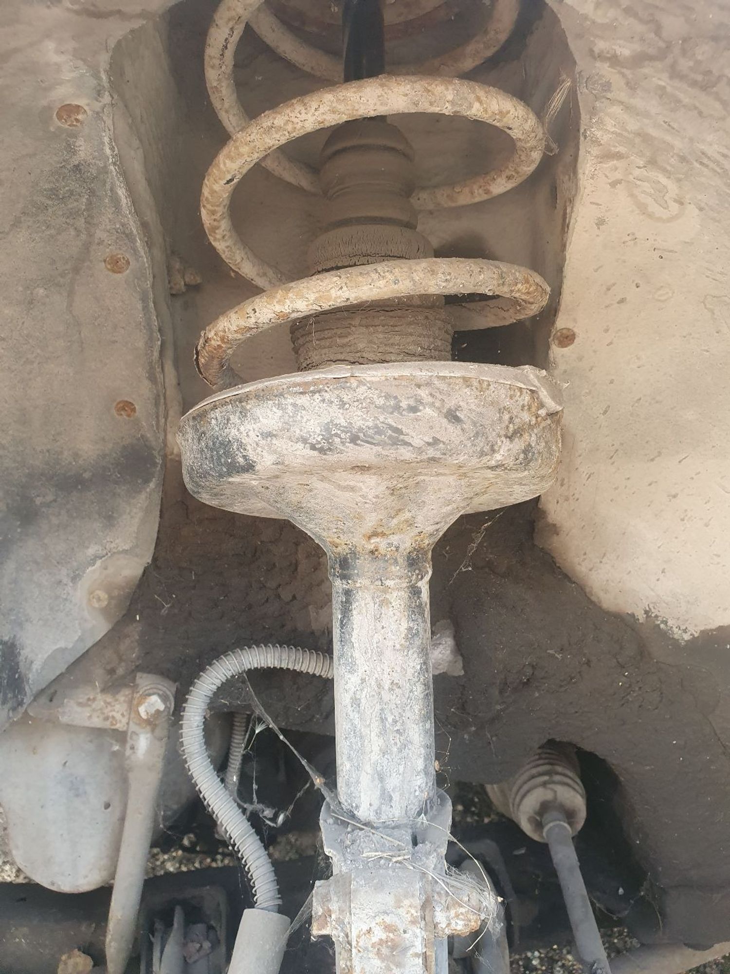 https://ycs.partsauto.market/partsauto-images/thmbs/userImages/7ed63c96fe685f431889ec34ef8f13b8/part/e4b627d7-389c-4cab-b5cd-72603488acf1_1786343906791.jpg