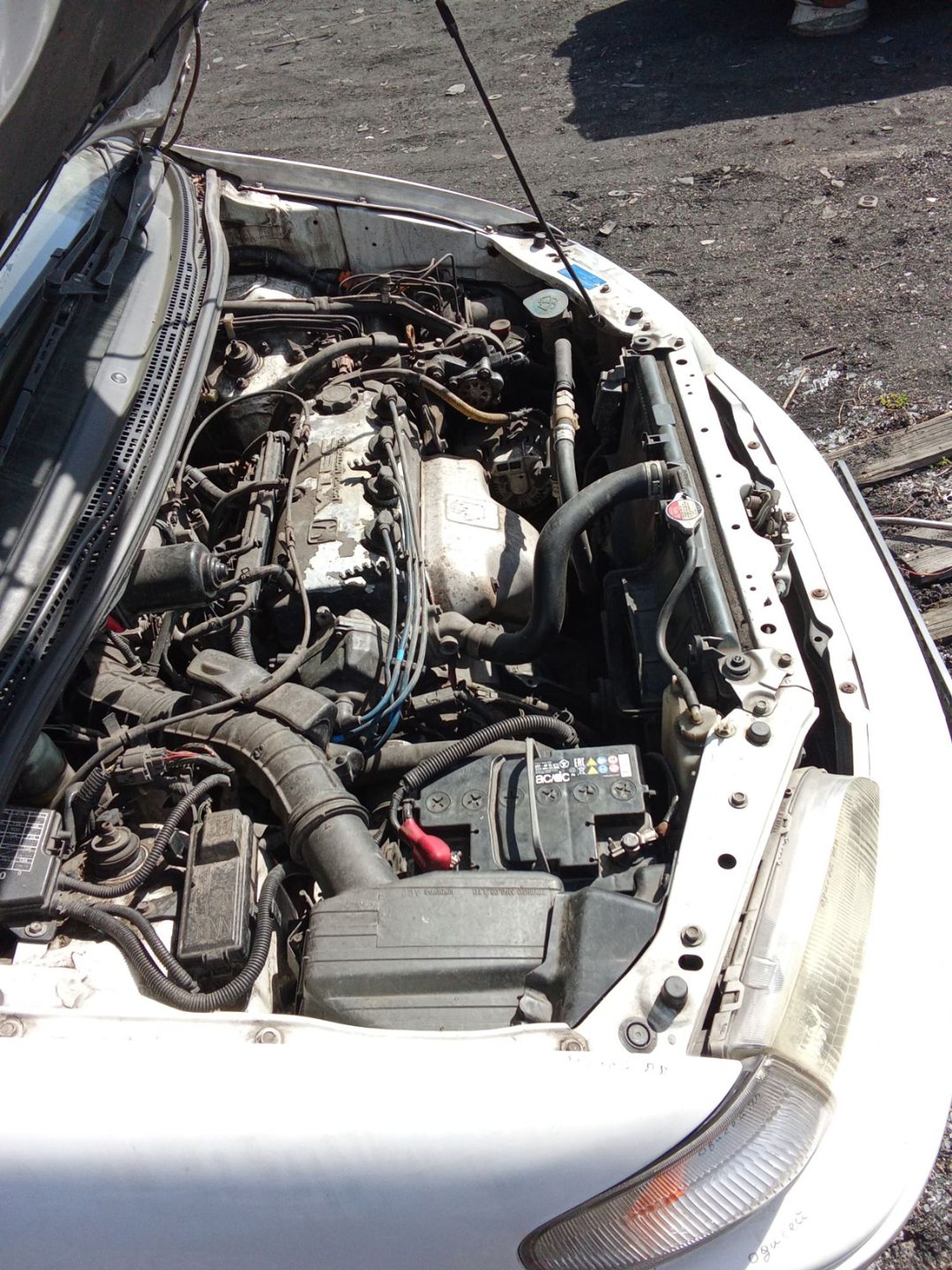 https://ycs.partsauto.market/partsauto-images/thmbs/userImages/7ed63c96fe685f431889ec34ef8f13b8/part/ec308560-8eb7-4d7a-9b46-285ee327c9fc_1777695102399.jpg