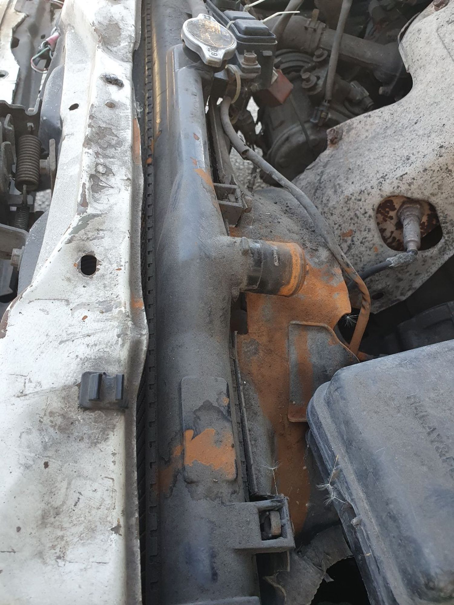 https://ycs.partsauto.market/partsauto-images/thmbs/userImages/7ed63c96fe685f431889ec34ef8f13b8/part/ffad7e23-8415-4ea0-b5d5-aab73a891f88_1786784541321.jpg