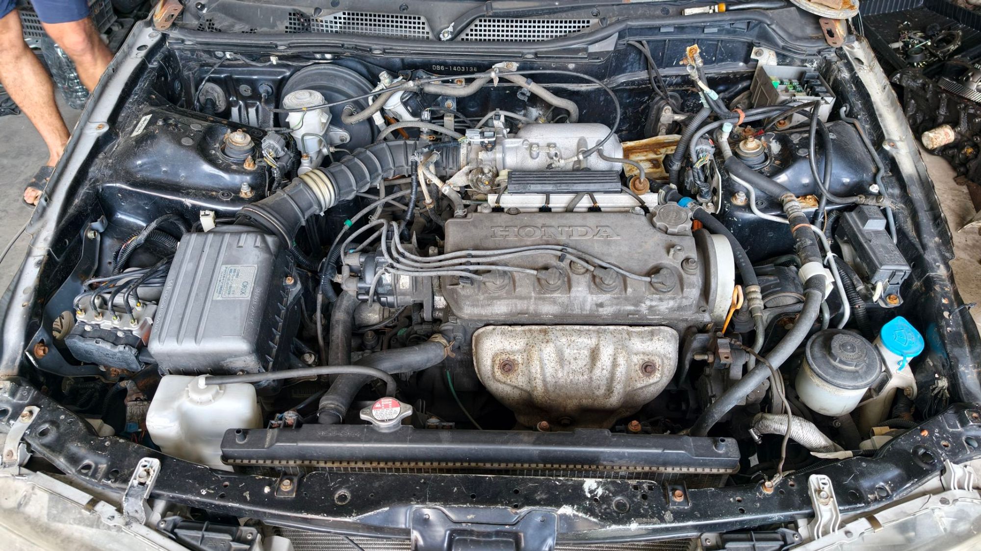 https://ycs.partsauto.market/partsauto-images/thmbs/userImages/87497919e31020c6b1c735431d06908a/car/b604cf6c-f938-455e-a13b-3c0c9308c65d_1782705543011.jpg