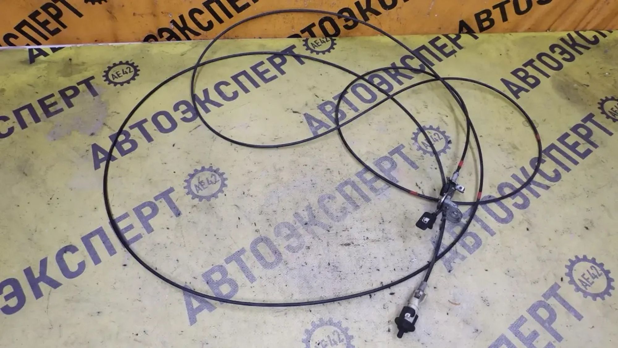 https://ycs.partsauto.market/partsauto-images/thmbs/userImages/87497919e31020c6b1c735431d06908a/part/5523c8e9-9580-455b-bd71-3152c66e6442_1781834541382.jpg