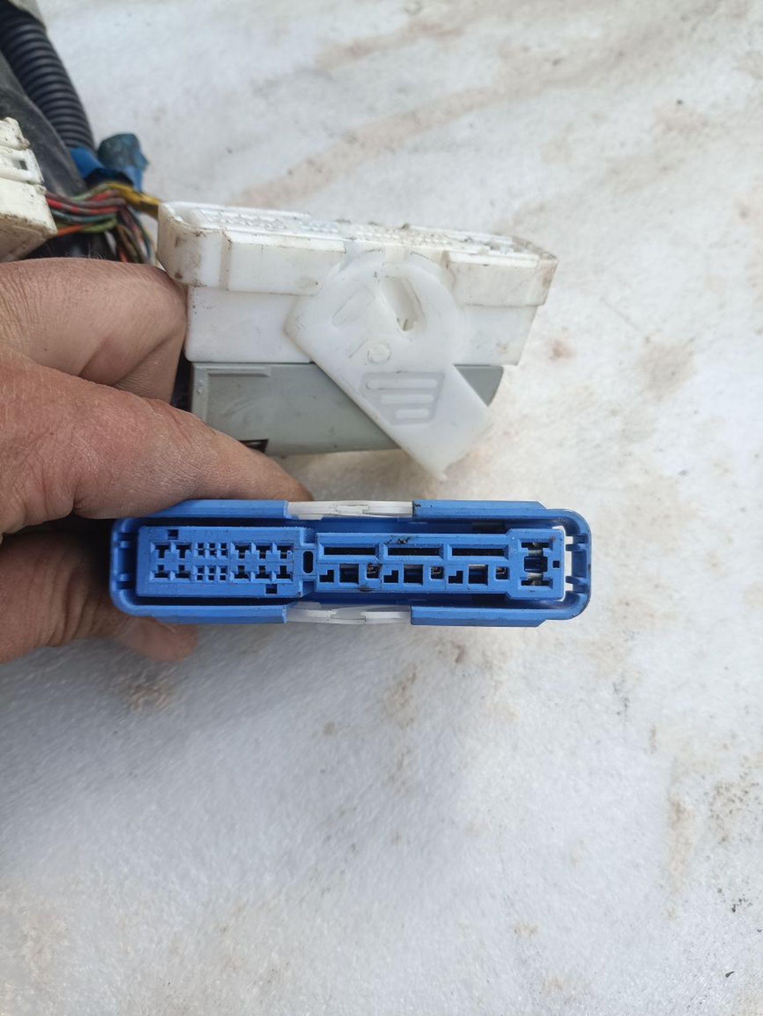 https://ycs.partsauto.market/partsauto-images/thmbs/userImages/a19a1494006c0851879c8cd6f3827d7d/part/0aecda30-c178-4b74-986f-0d5dfb4d9b8b_1777535113199.jpg