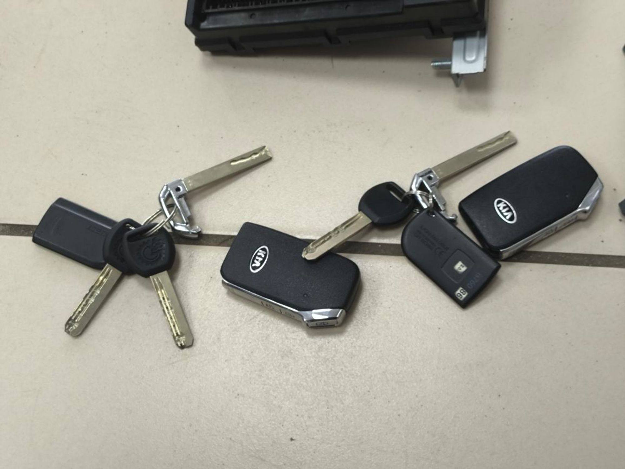 https://ycs.partsauto.market/partsauto-images/thmbs/userImages/a2d258a61cc08549ac0329b7373022c0/part/07645a41-ec5c-4b7a-b096-0ce42a5115f1_1782395623655.jpg