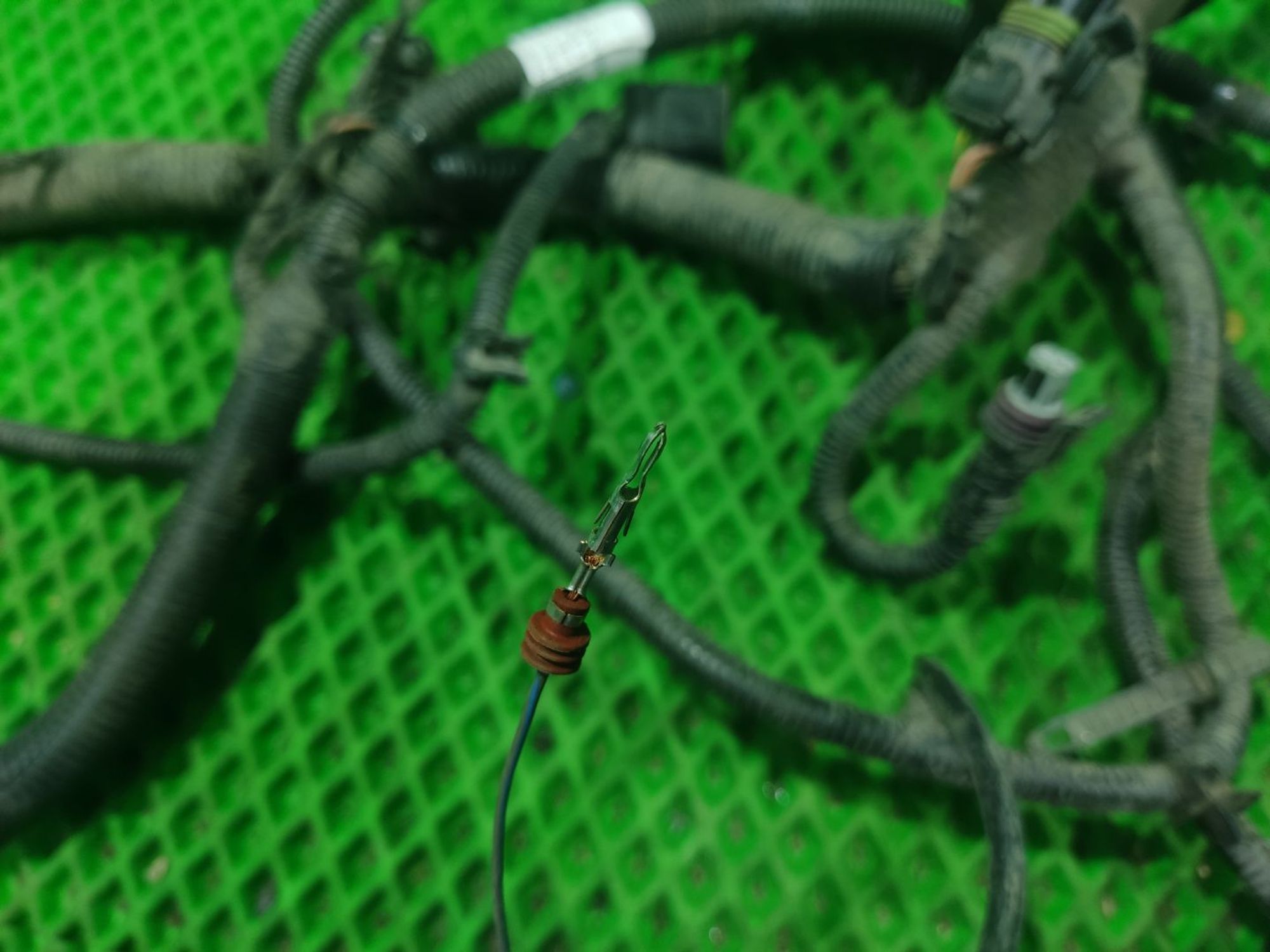 Проводка двигателя Lada Granta FL Datsun ON-DO, 5000 рублей, Тамбов