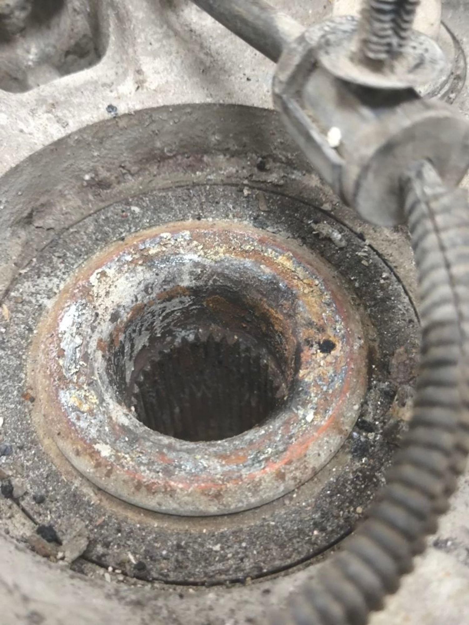 https://ycs.partsauto.market/partsauto-images/thmbs/userImages/a2d258a61cc08549ac0329b7373022c0/part/f5bcca21-4f7f-4f62-bb95-79ca77e873c5_1787232895761.jpg