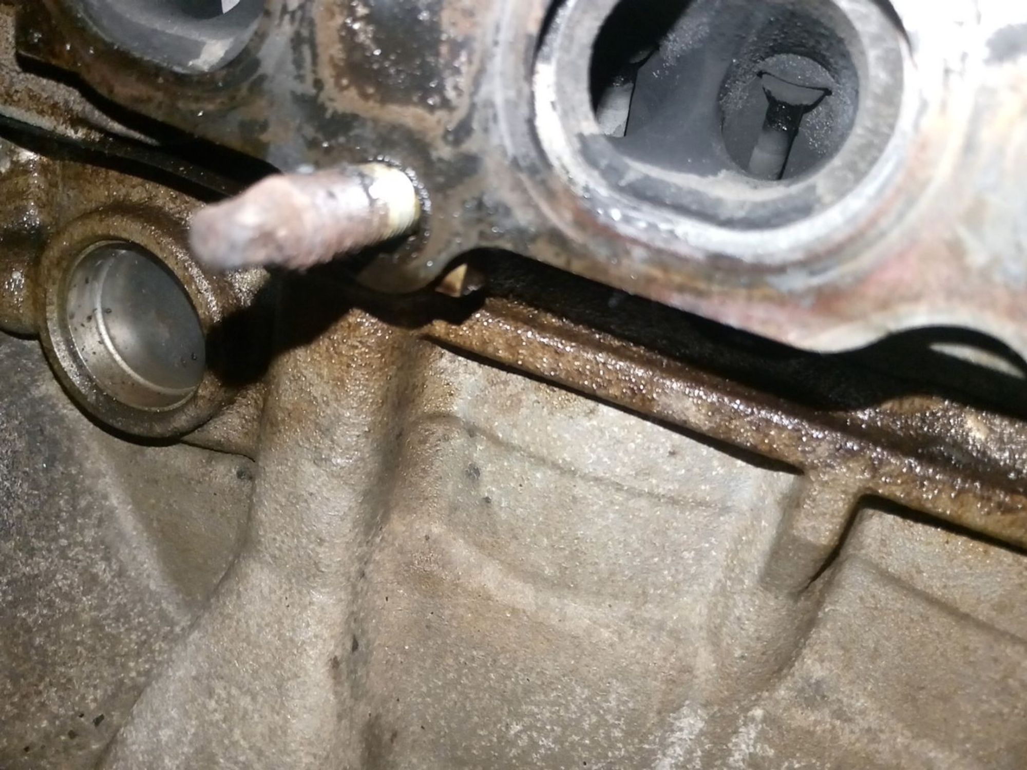 https://ycs.partsauto.market/partsauto-images/thmbs/userImages/a486c87f8955b6e25f9185efee619899/part/558d63d9-1a2c-4328-9df2-6e3d276c4029_1782453935576.jpg