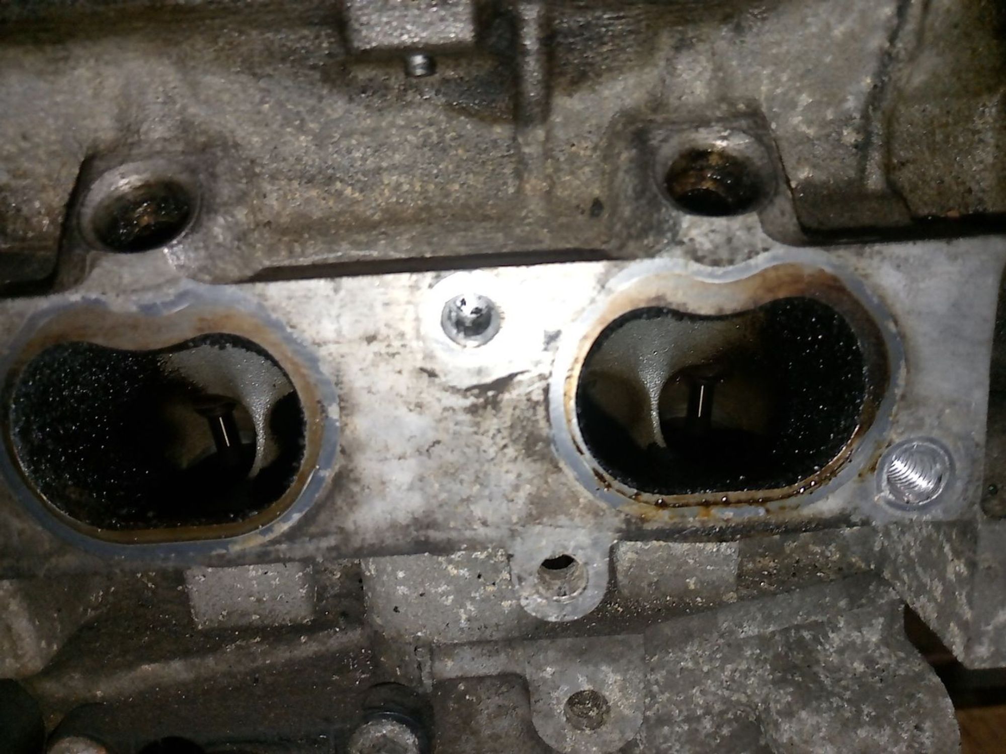 https://ycs.partsauto.market/partsauto-images/thmbs/userImages/a486c87f8955b6e25f9185efee619899/part/98feda82-35e1-4471-a550-e5fdc9c227c8_1782453862892.jpg