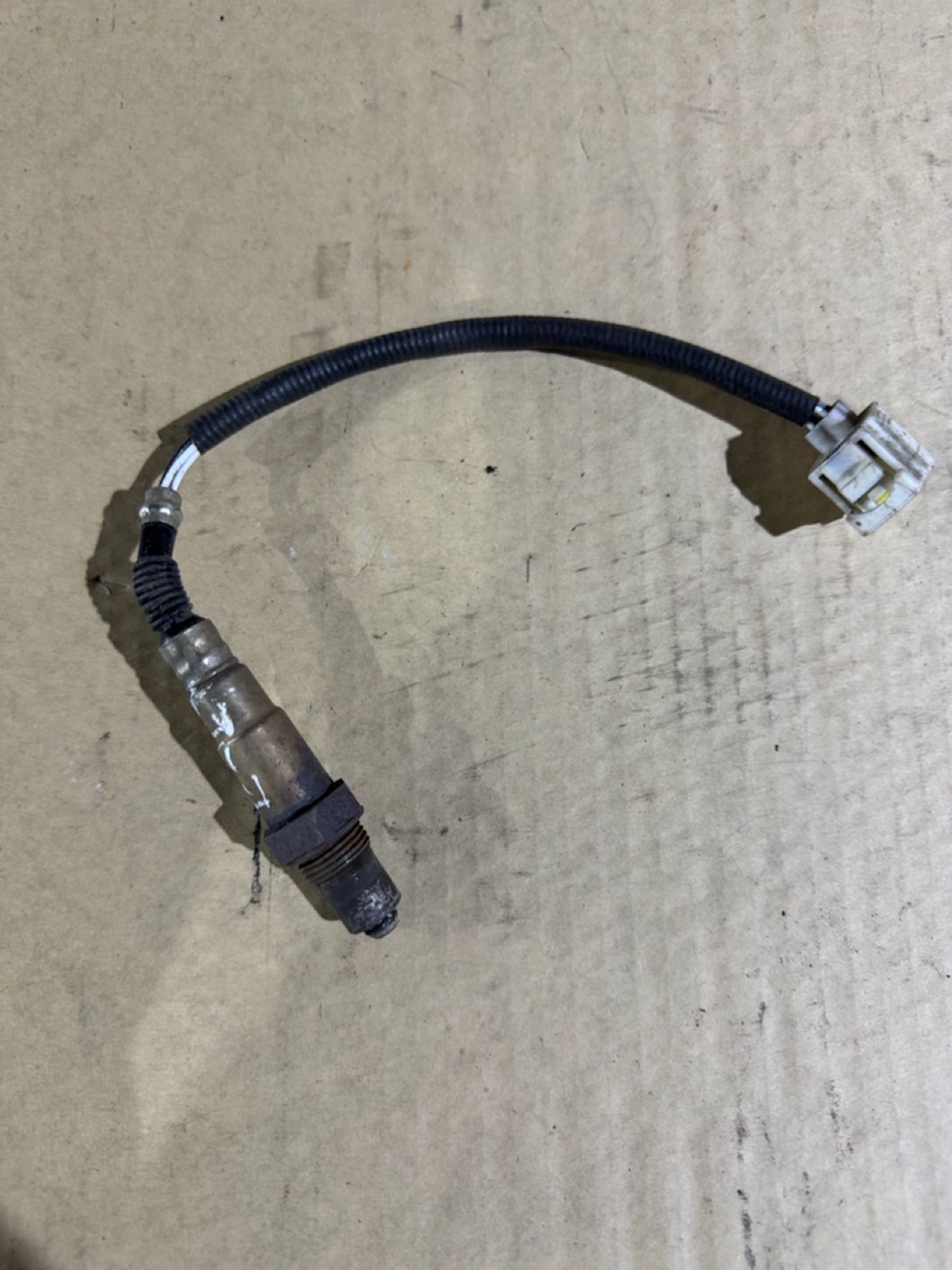 https://ycs.partsauto.market/partsauto-images/thmbs/userImages/a486c87f8955b6e25f9185efee619899/part/a33a3c20-2385-4b01-a85a-09c5a58bf2be_1786654193221.jpg