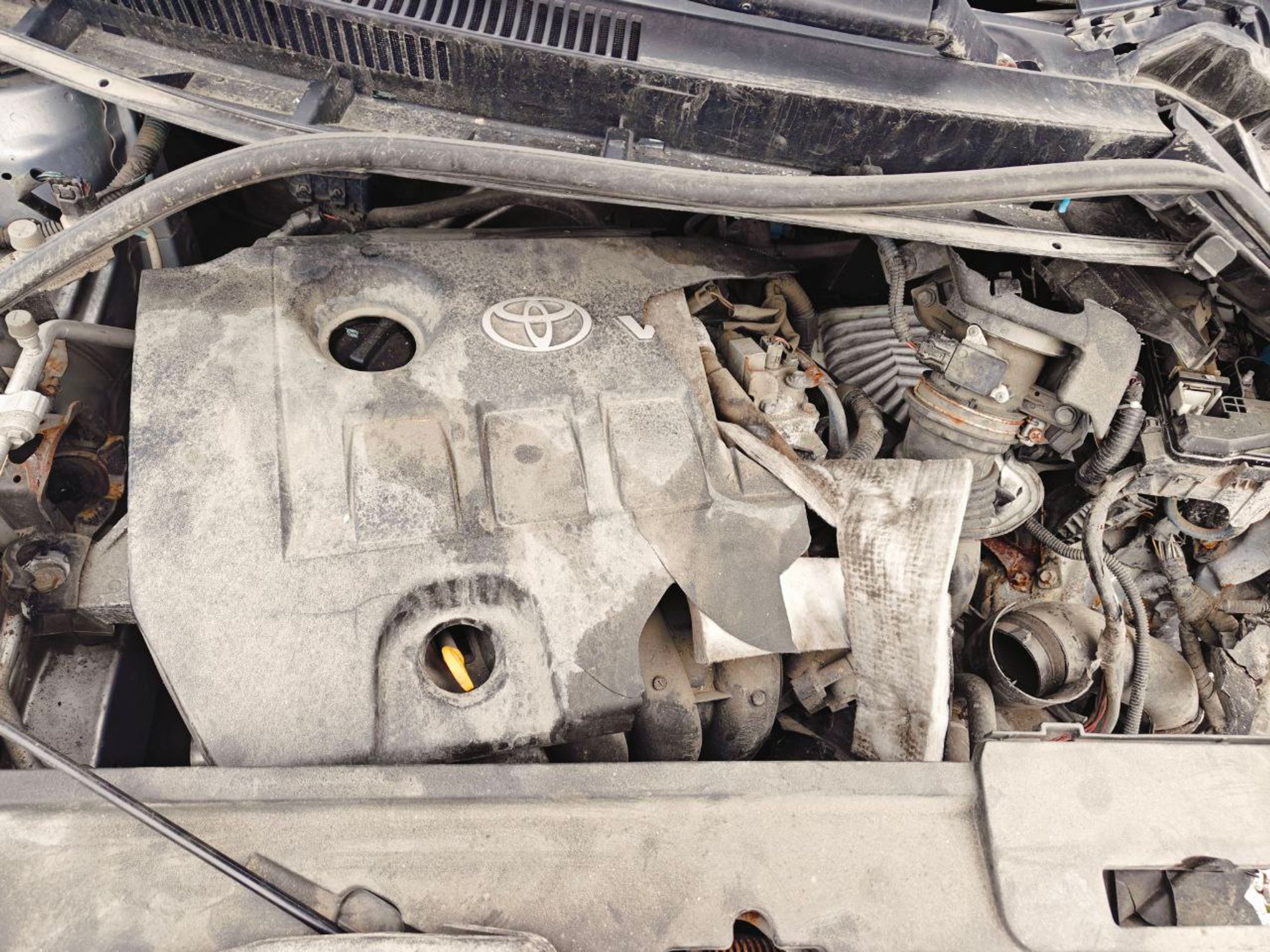 https://ycs.partsauto.market/partsauto-images/thmbs/userImages/cb9901e562a4f410bd4f9bf80c21d094/car/c5d135fb-6cc8-4f82-a090-f0513ed49550_1777288103956.jpg