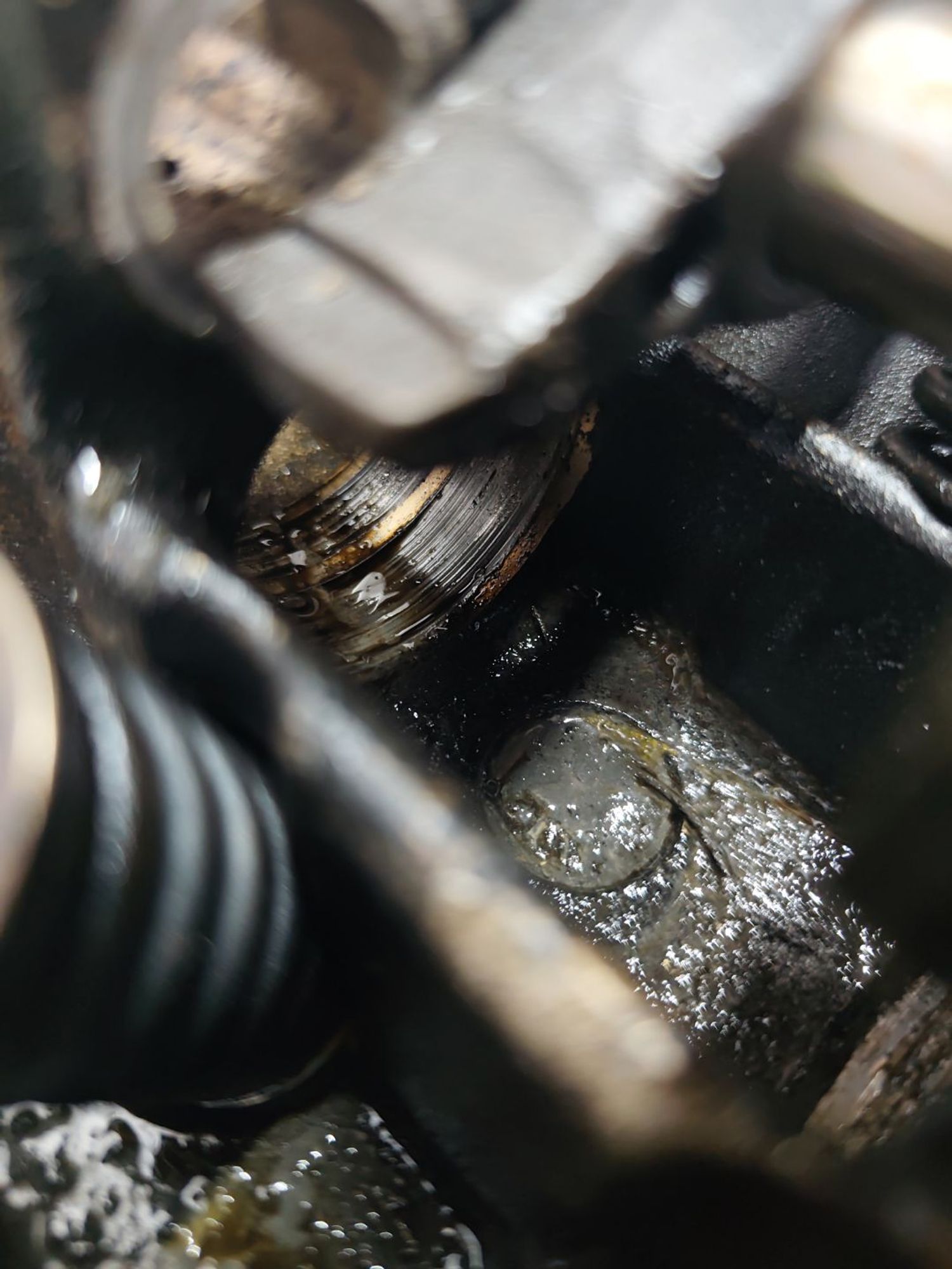 https://ycs.partsauto.market/partsauto-images/thmbs/userImages/cca1856e256b5441544f9aba03b424a6/part/ea364487-1c90-497f-924b-10690202cb2c_1780725754880.jpg