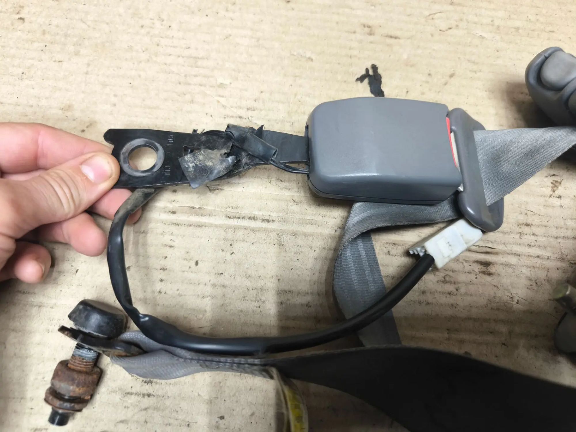 https://ycs.partsauto.market/partsauto-images/thmbs/userImages/d89d66a30f14dbad161fb7a986aa0fe5/part/1598c5f8-8f74-4515-b6ec-9686a0bd52bb_1784697506522.jpg