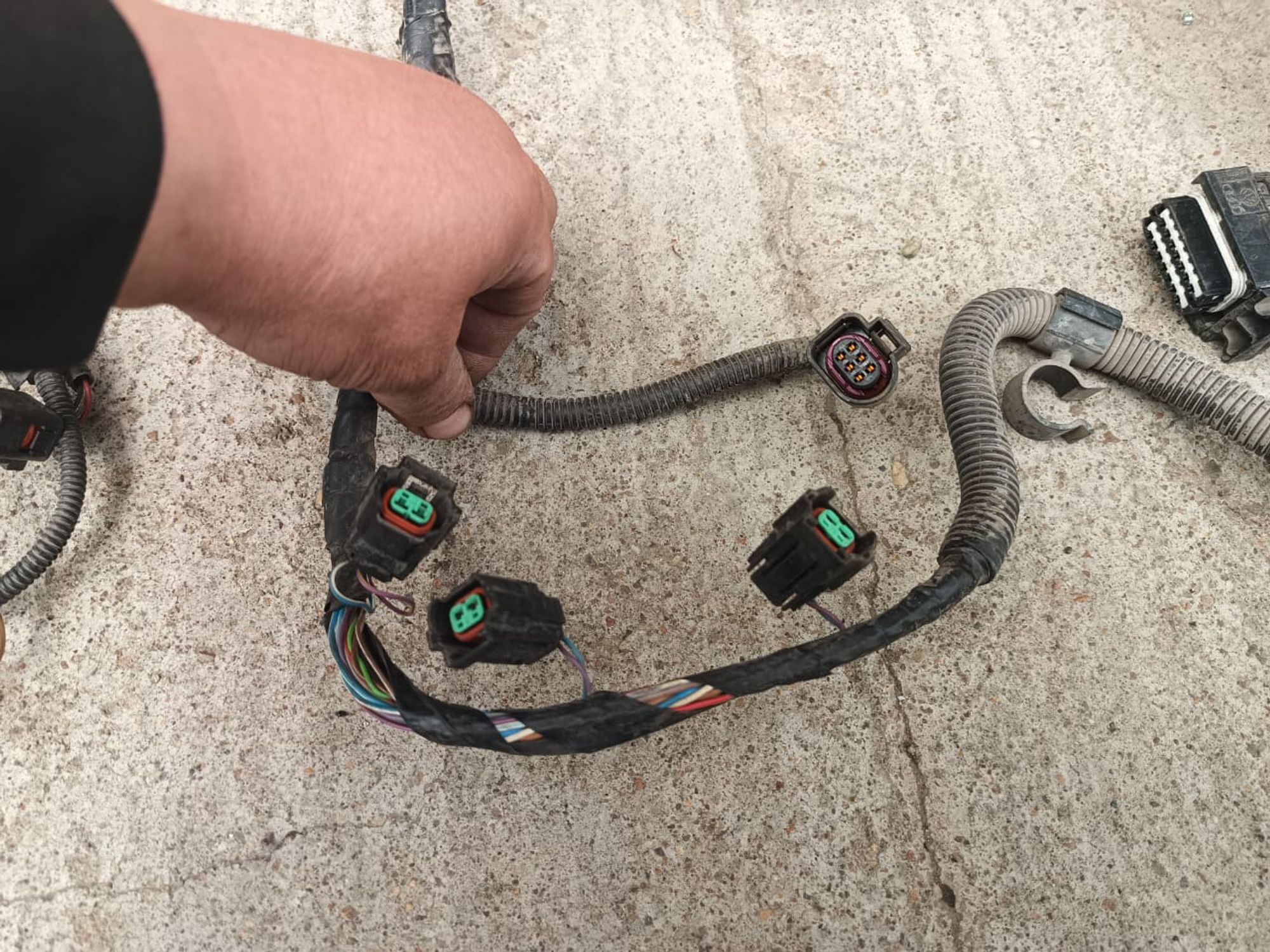 https://ycs.partsauto.market/partsauto-images/thmbs/userImages/d89d66a30f14dbad161fb7a986aa0fe5/part/28527e34-6947-4f4e-bc45-bb1fad945eb8_1721113788122.jpg