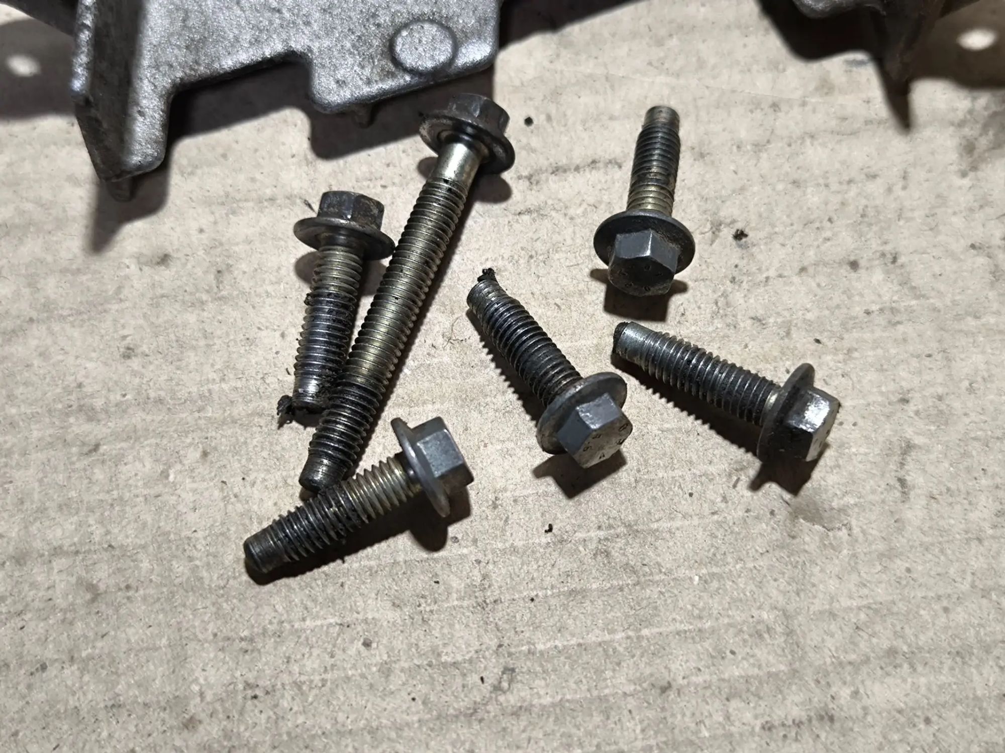https://ycs.partsauto.market/partsauto-images/thmbs/userImages/d89d66a30f14dbad161fb7a986aa0fe5/part/9e509ff1-532f-4ead-8214-2a64ebcbf77c_1782054737638.jpg