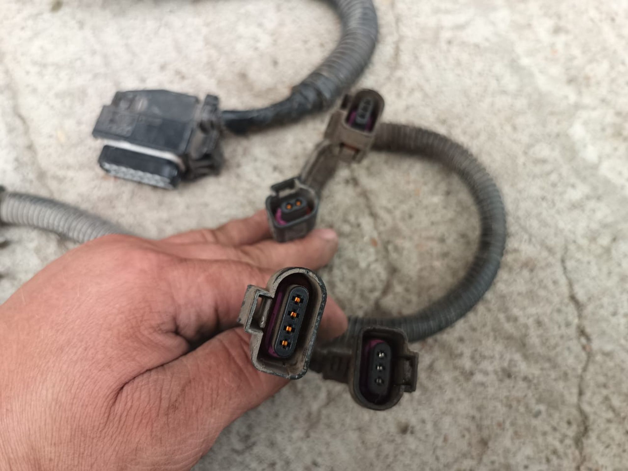 https://ycs.partsauto.market/partsauto-images/thmbs/userImages/d89d66a30f14dbad161fb7a986aa0fe5/part/c111158f-705f-4a8c-ac74-2c3117970426_1721113787937.jpg
