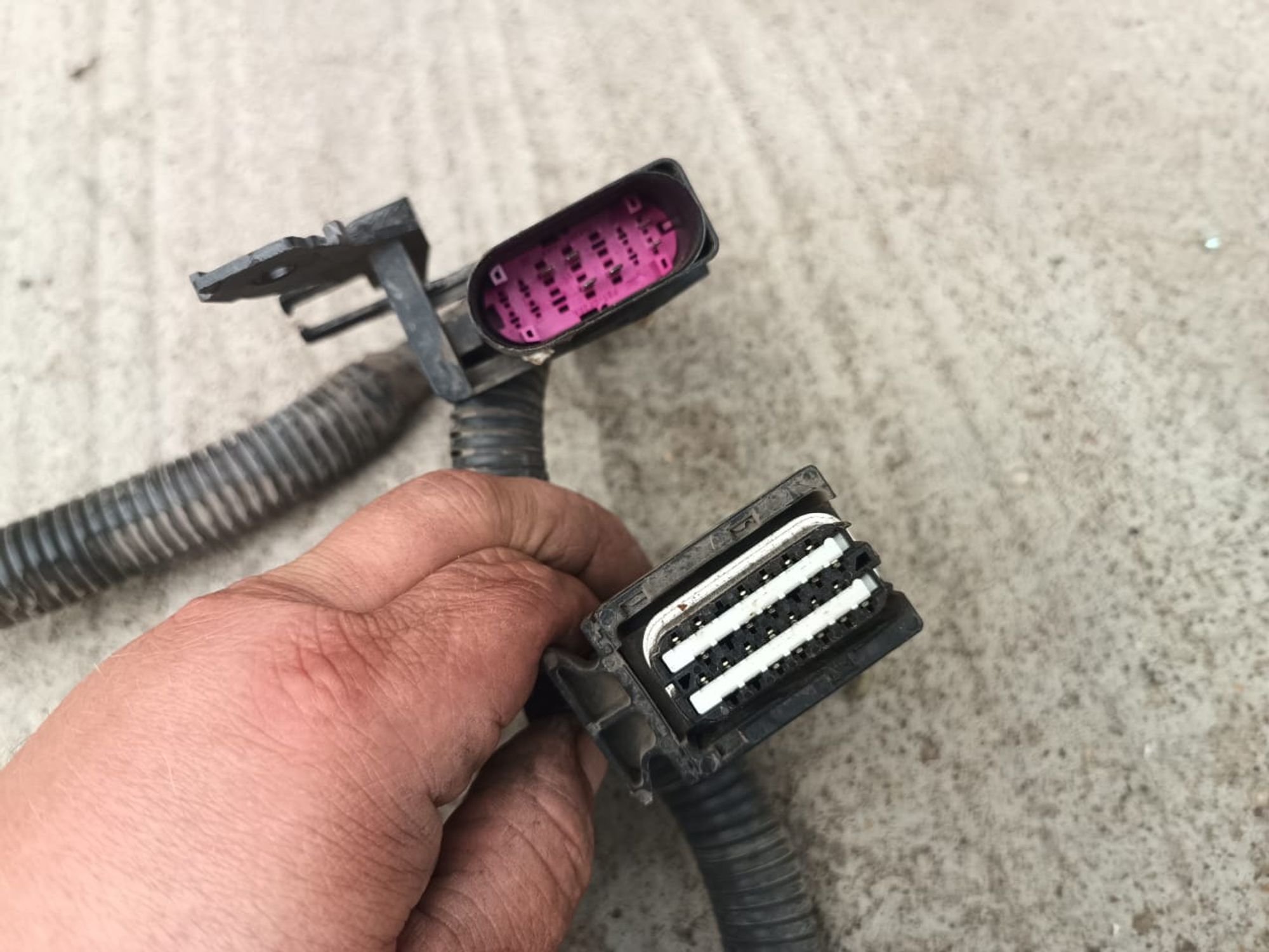 https://ycs.partsauto.market/partsauto-images/thmbs/userImages/d89d66a30f14dbad161fb7a986aa0fe5/part/e2815348-350b-4cee-a06a-cd8212600082_1721113788340.jpg