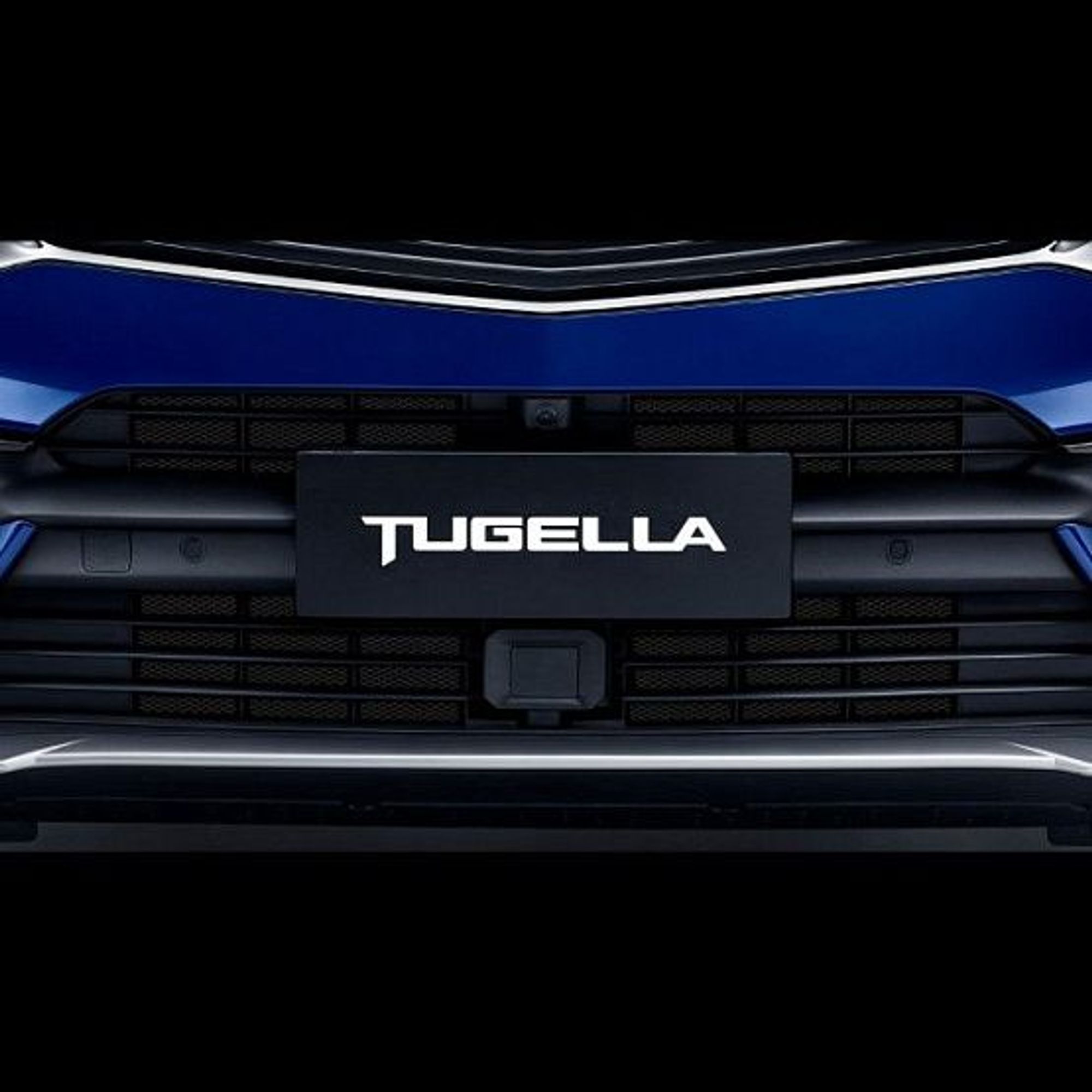 Комплект защитных сеток радиатора (м.г. 2022-) для Geely Tugella, 2632 рублей, Сургут