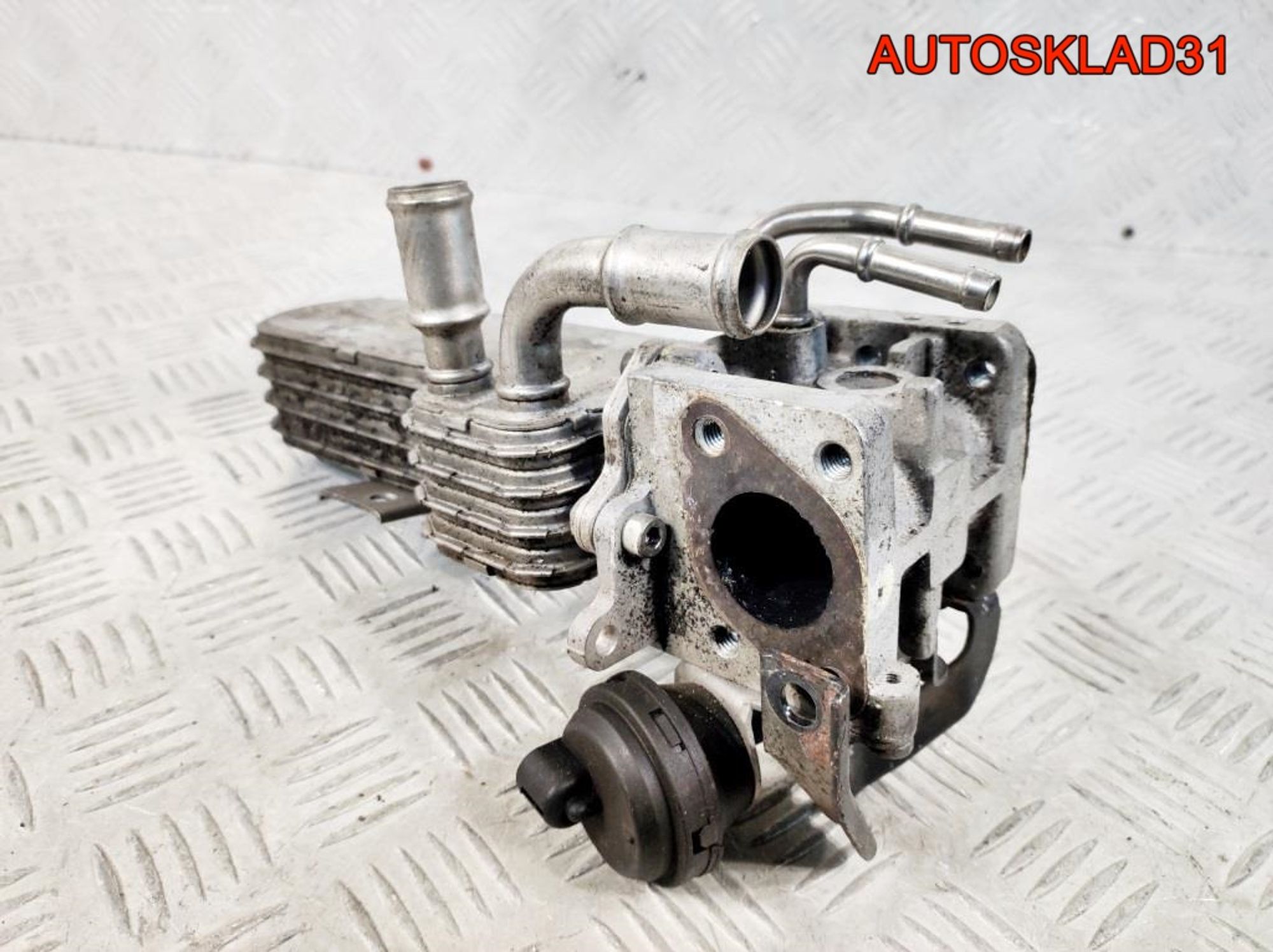 Радиатор EGR Volkswagen Passat B6 038131513AD, 1400 рублей, Дубовое