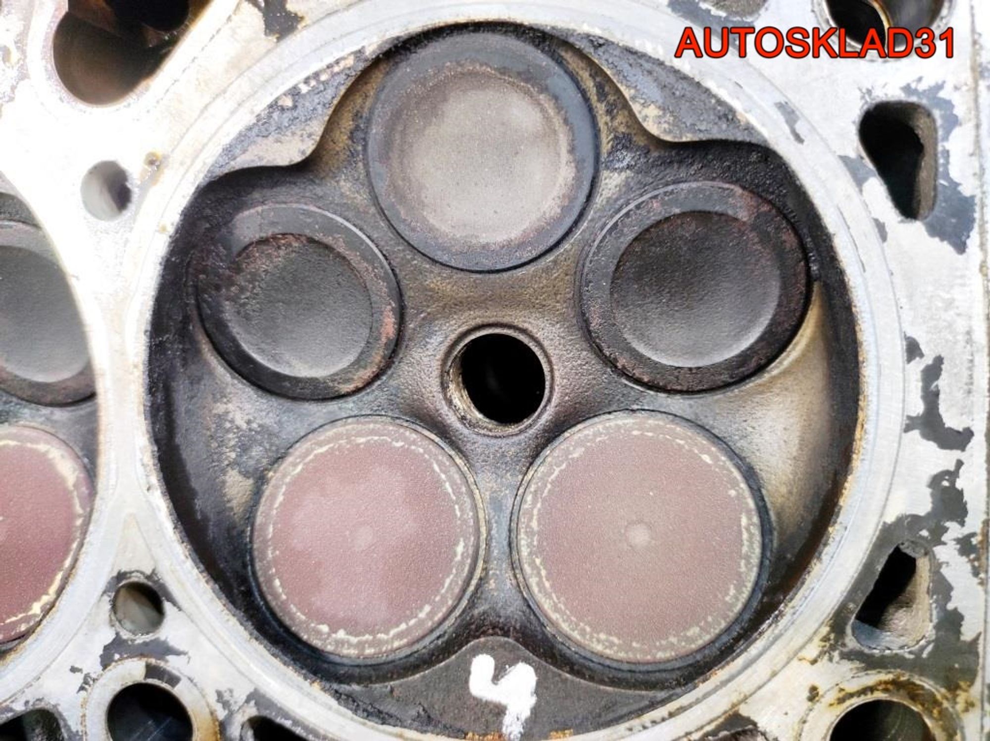 Головка блока цилиндров ARG VW Passat B5 1,8 Бензин, 27000 рублей, Дубовое