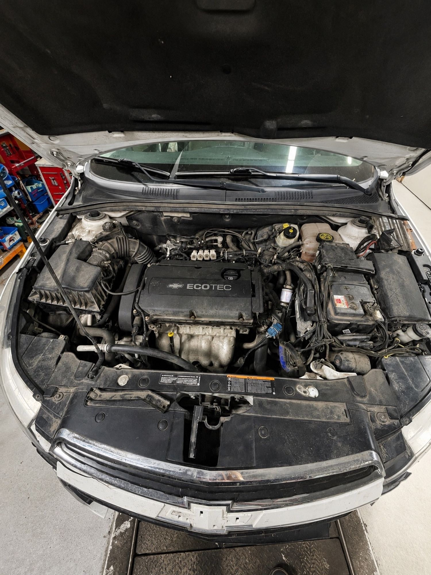 https://ycs.partsauto.market/partsauto-images/thmbs/userImages/f92b14355489e3b224da6399a17e0798/car/7eb7a3fc-1683-4829-ae7b-7bdef155ba32_1788427317652.jpg